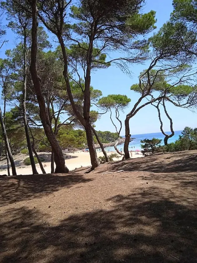 Mare Nostrum Cala Ratjada  Apartment Cala Ratjada (Mallorca)
