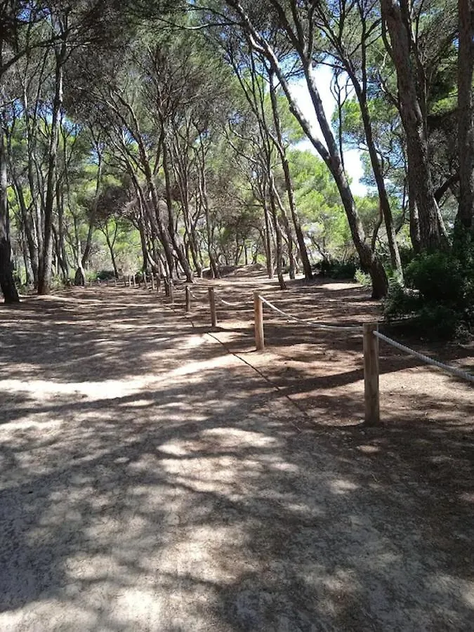 Apartment Mare Nostrum Cala Ratjada  Spain
